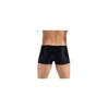 Boxer noir Daring 